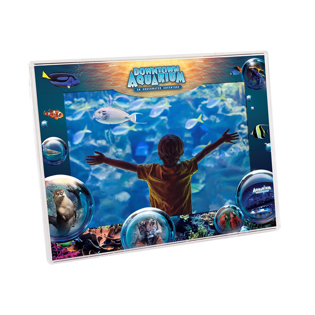 CCF34-WE-CM_Aquarium_LR_